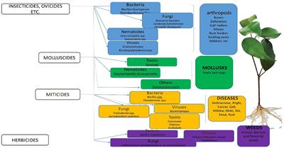 Corrigendum: Biopesticides as an alternative to synthetic pesticides: a case for nanopesticides, phytopesticides and microbial pesticides